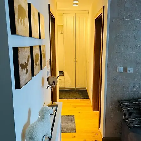 Apartment Apartlux Danilo 1
